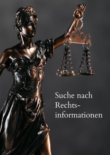 Recht professionell recherchieren