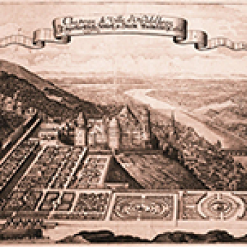 dmp_kurpfalz