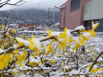 Lesterrasse im Winter